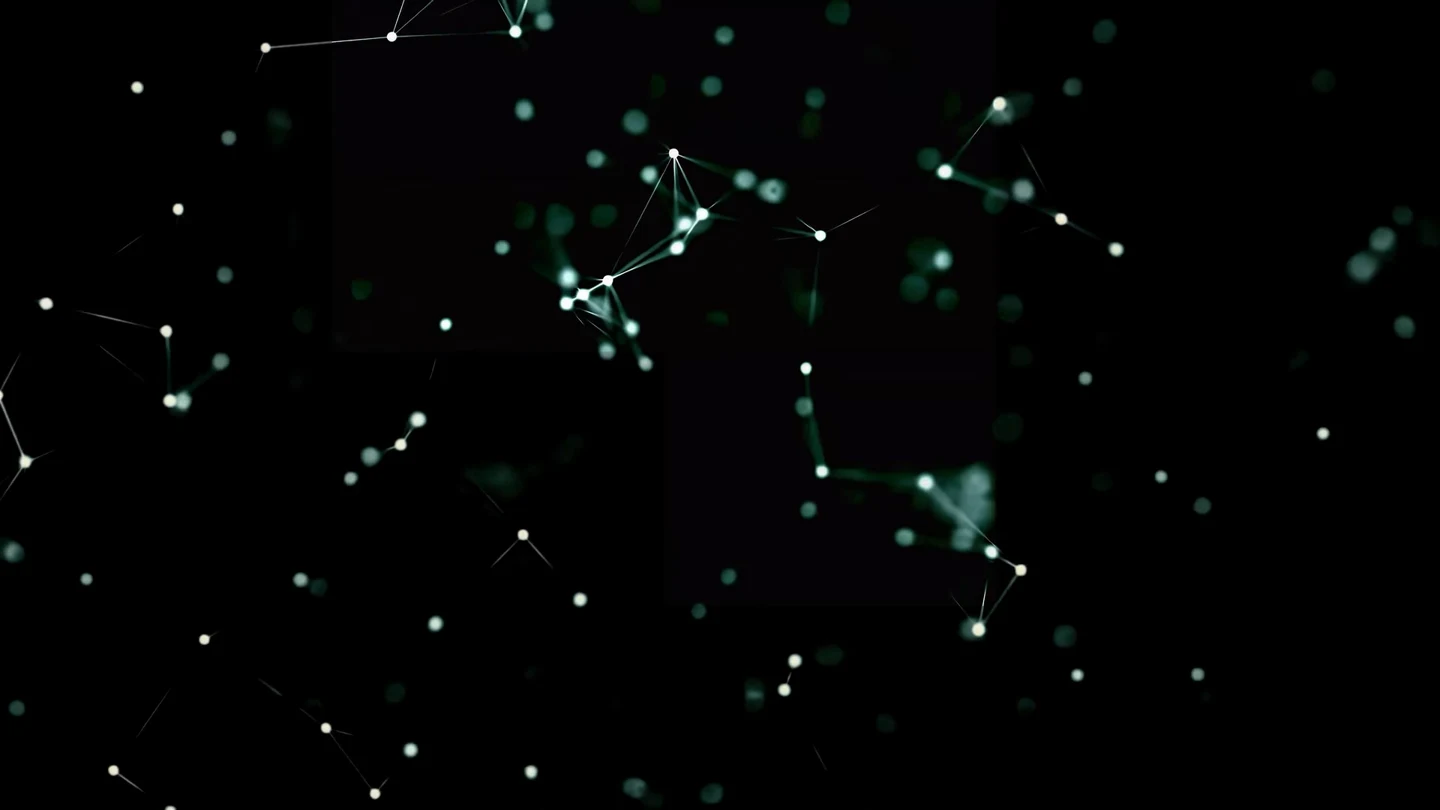 Profile Banner